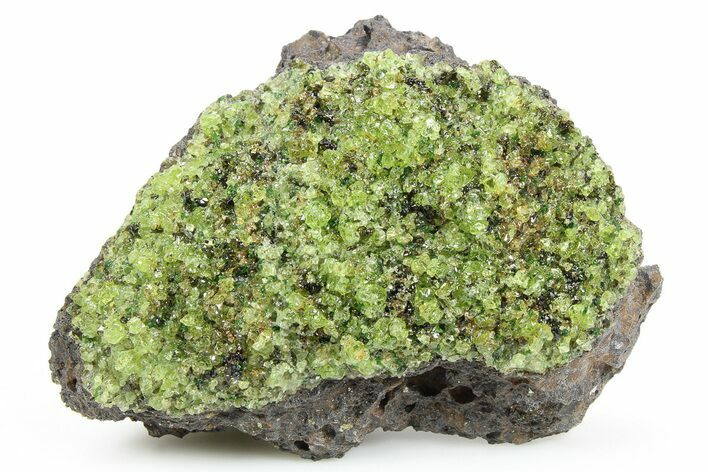 Peridot in Basalt - Arizona #253768